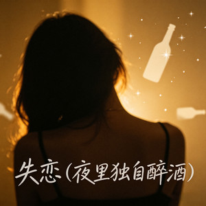 失恋 (夜里独自醉酒)