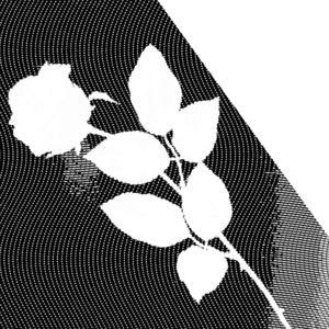 Fly Away (feat. Mutters) (Explicit)