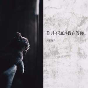你并不知道我在等你