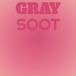 Gray Soot