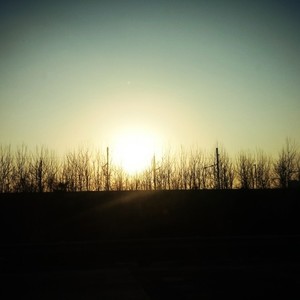 郑小辫儿 - 无眠