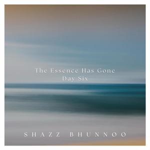 The Essence Has Gone (Day Six)
