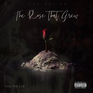 The Rose That Grew (Explicit)