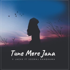 Tune Mere Jana