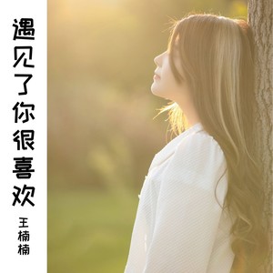 遇见了你很喜欢