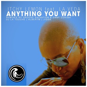 Anything You Want (DJ La Touche Remix)