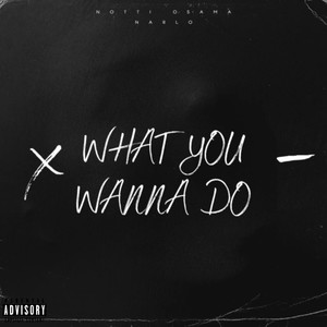 What You Wanna Do (with Narlo) (Explicit)