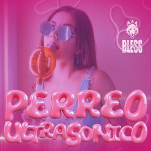 PERREO ULTRASONICO (feat. Jart Wknd & Alan Flow) (Explicit)