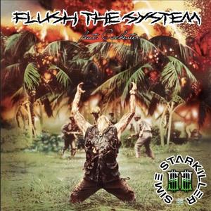 Flush The System (feat. Cuchester) [Explicit]