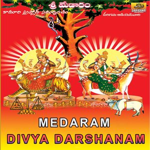 Medaram Divya Darshanam