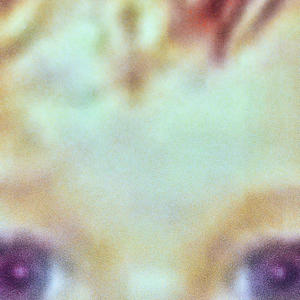 hard to HIDE (Explicit)