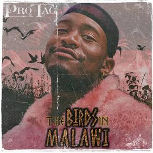 Cr333m (feat. 2kultured, Subzero-jnr, iits lindo & Badumile)