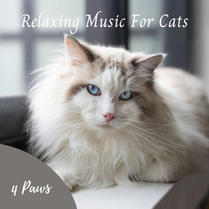 Cats Calming Music