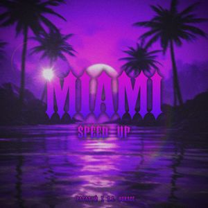 MIAMI (speed up)