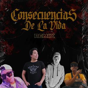 Consecuencias de la vida (feat. Leal el heredero & Roland Qh) [REMIX] [Explicit]