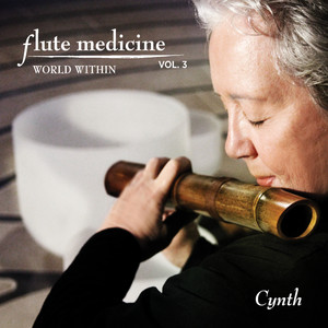 Flute Medicine, Vol. 3 World Within