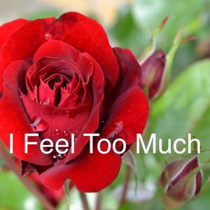 I Feel Too Much