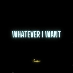 What Ever I Want (Explicit)