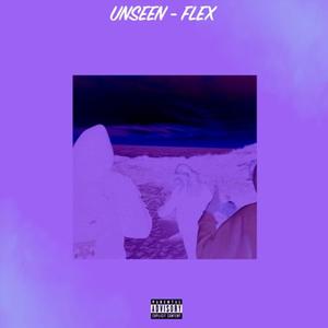 FLEX (feat. UNSEEN) (Explicit)