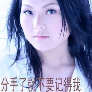 分手了就不要记得我