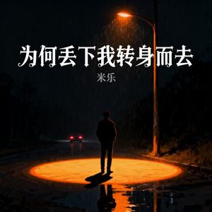 为何丢下我转身而去