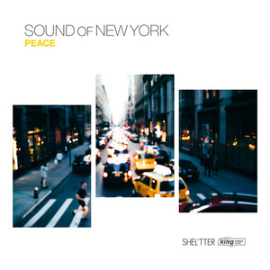 SHEL'TTER × KING STREET SOUNDS SOUND OF NEW YORK PEACE