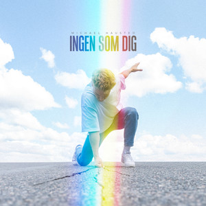 Ingen Som Dig