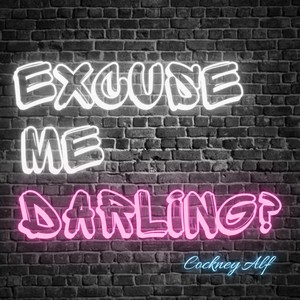 Excuse Me Darling? (Explicit)