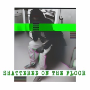 Shattered on the floor (flows from the mixtape) [Explicit]