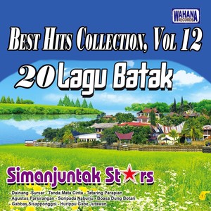 Best Hits Collection Vol.12