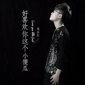 裴辰 - 好喜欢你这个小傻瓜