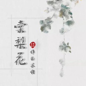 苏程 - 棠梨花