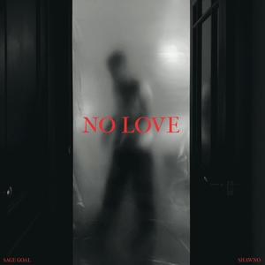 No Love (feat. Shawno) [Remix] [Explicit]