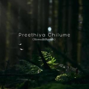 Preethiya Chilume (Slowed&Reverb)