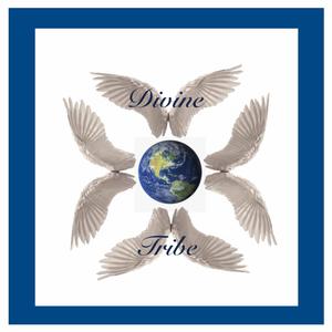 Webnose(feat. Sara Wright & Christopher Macor)