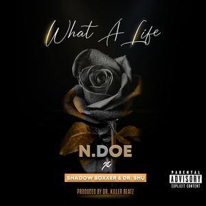 What A Life (feat. Shadow Boxxer & Dr. Shu) [Explicit]