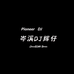 敢爱敢做 (岑溪DJ辉仔版)