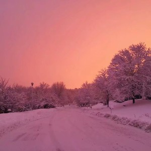 雪