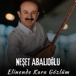 Elinende Kara Gözlüm