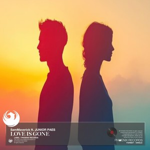 Love is Gone (feat. Junior Paes)