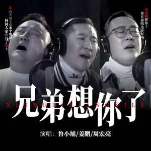 兄弟想你了封面
