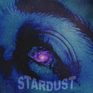 STARDUST (Explicit)