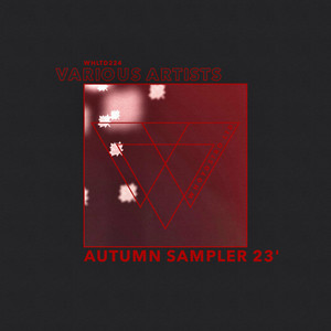 Autumn Sampler 23'