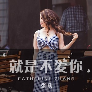 就是不爱你 (伴奏)