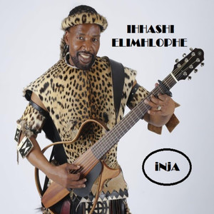 Ihhashi Elimhlophe - Ingwe