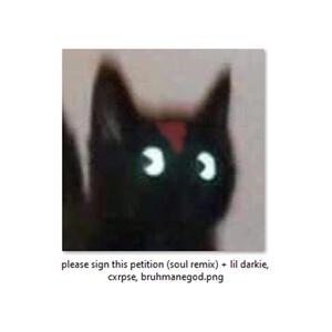 please sign this petition (feat. Brahman, BRUHMANEGOD & Cxrpse) (soul remix|Explicit)
