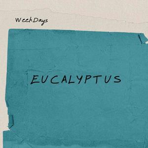 Eucalyptus (Unplugged)