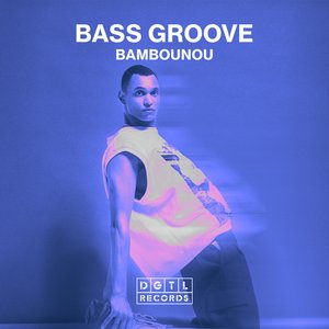 The Bass Groove