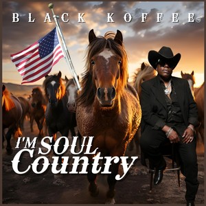 I'm Soul Country