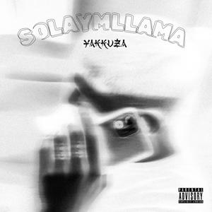 SOLAYMLLAMA (Explicit)